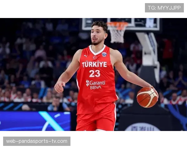 申京高位策应撕裂防守媲美约基奇组织威胁