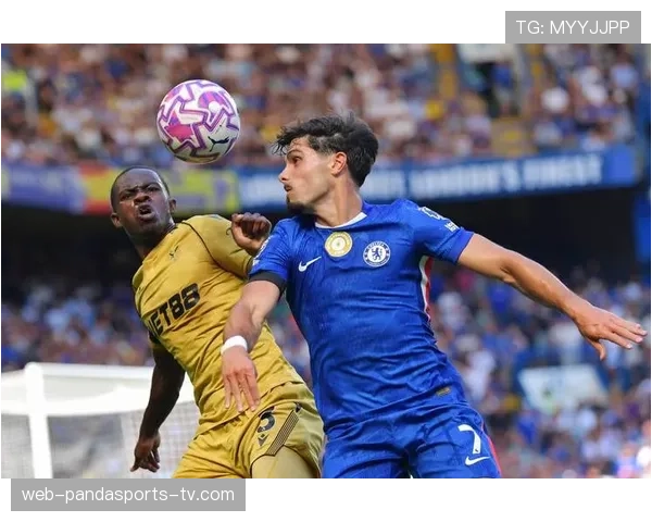 犯规进球为何会被判无效？足球规则中这几点你必须了解