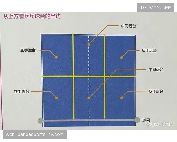 发球干扰规则解析：哪些行为会被判违例？