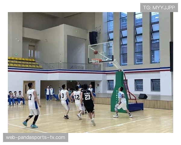篮球比赛替补席球员与教练行为准则详解