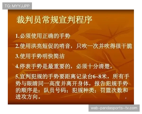 篮球规则解析：打手犯规的定义与判定标准详解